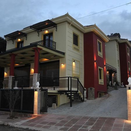 Dominique Meteora House Apartment Kalambaka Bagian luar foto