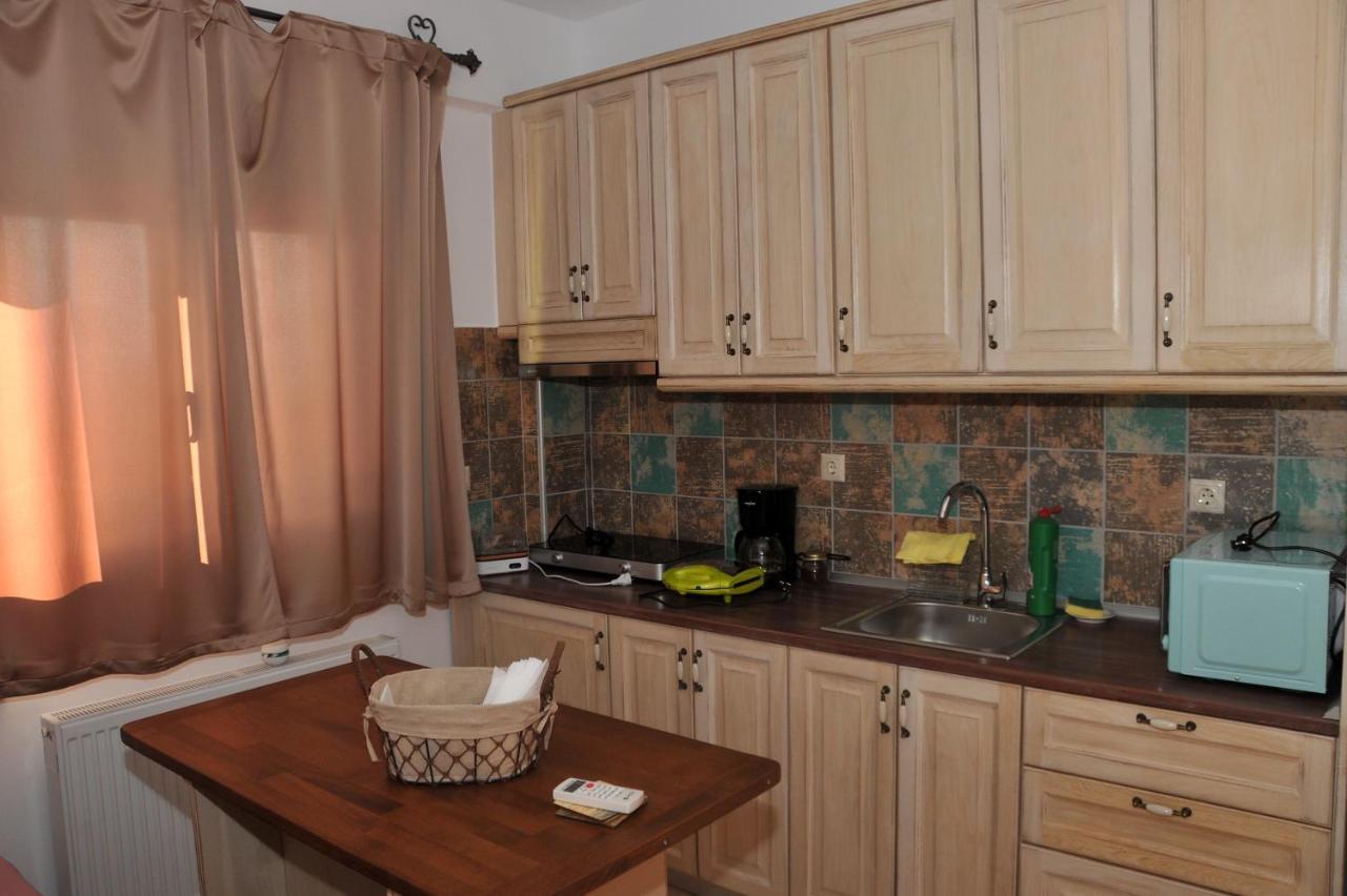 Dominique Meteora House Apartment Kalambaka Bagian luar foto